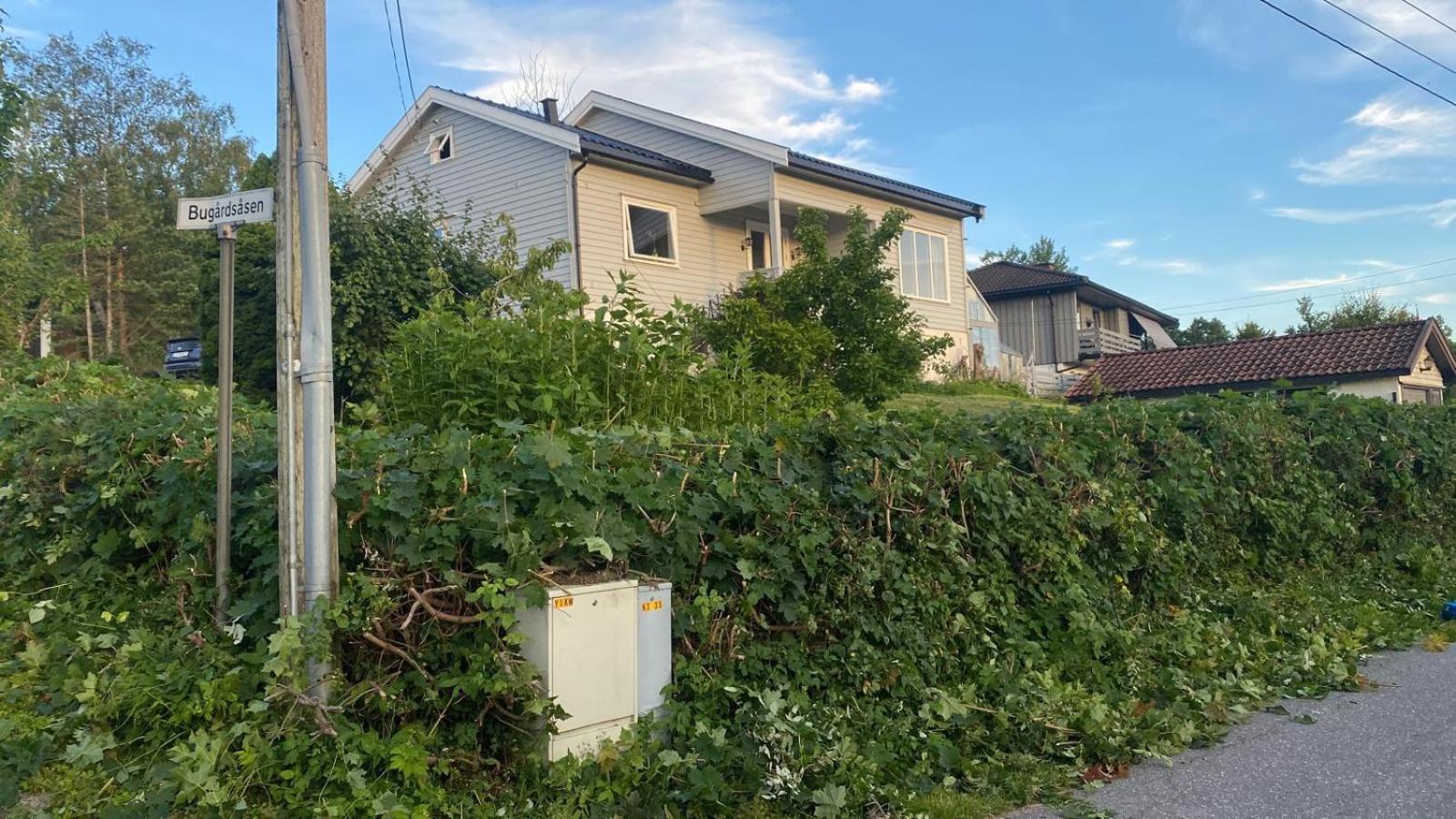 Bugardsasen1, Whole House Villa Sandefjord Exterior photo