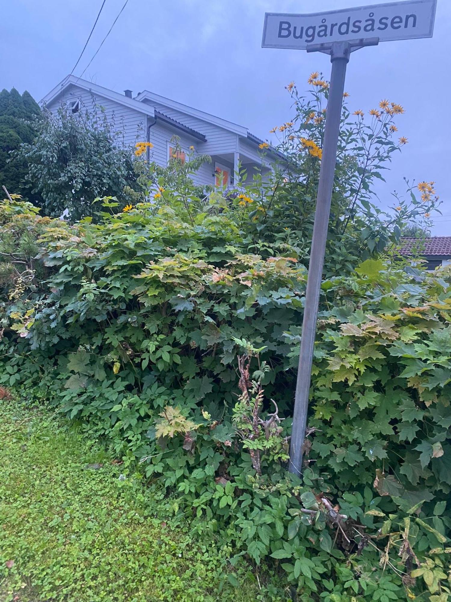 Bugardsasen1, Whole House Villa Sandefjord Exterior photo